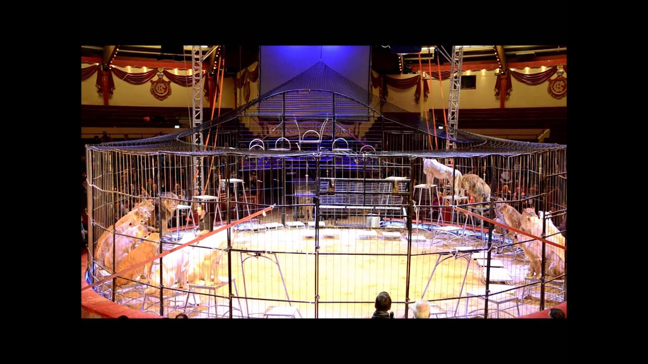 Wissenschaftliche Kommentierte Raubtierprobe im Circus Krone am  8.3.2015