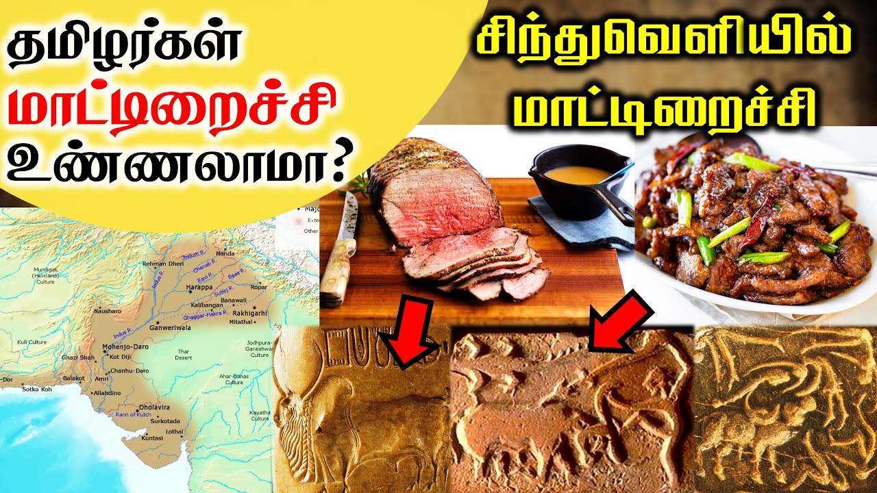 தமிழர்கள் மாட்டிறைச்சி உண்ணலாமா? | Beef in Indus Valley Civilization | SangathamizhanTV
