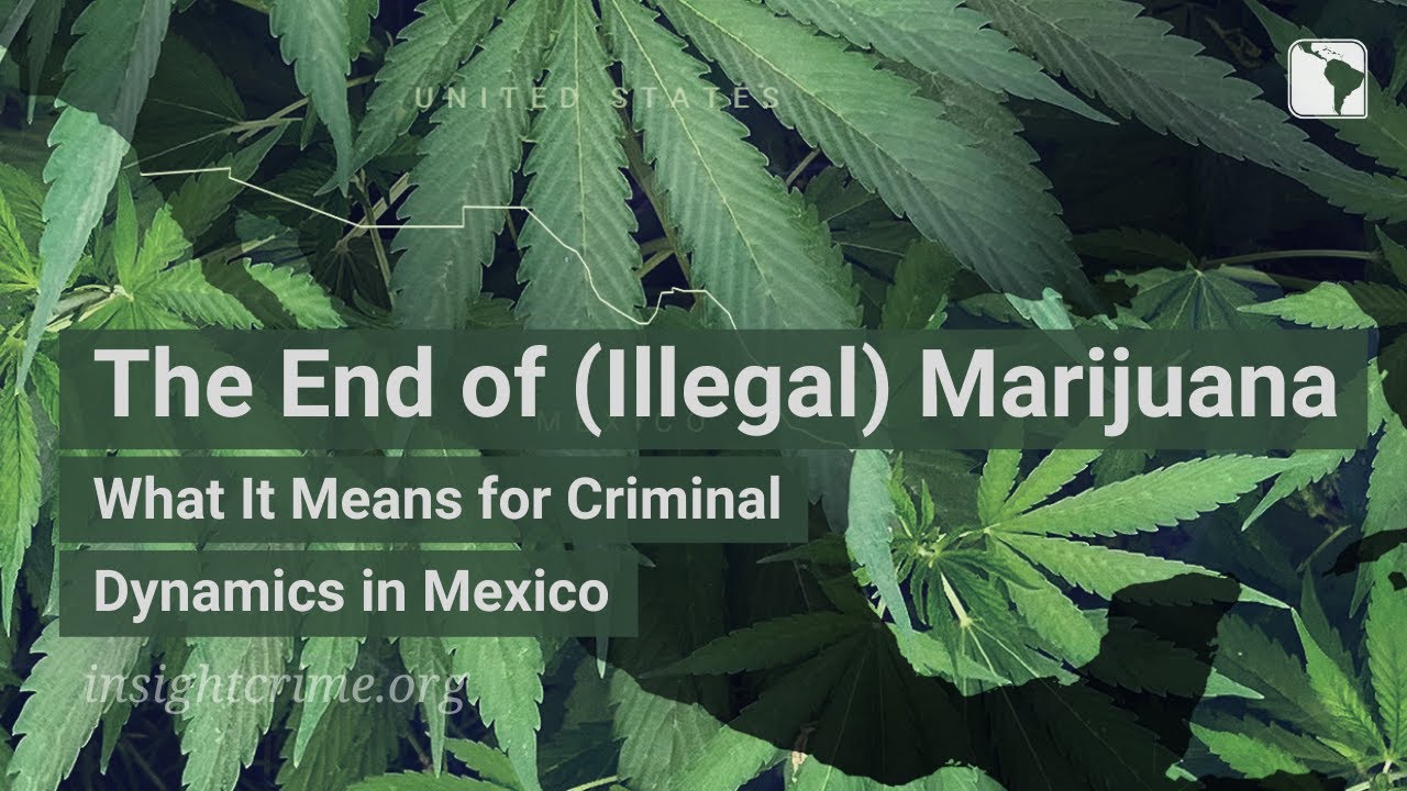 The End of (Illegal) Marijuana - What It Means for Criminal Dynamics in Mexico