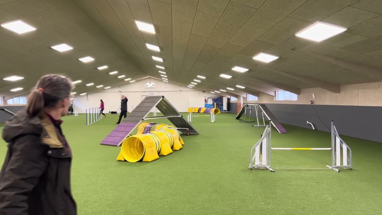 Tryllé ag1A DCH Herning marts 2026