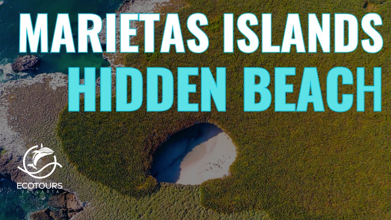 Marietas Island, snorkeling and sea bird I Puerto Vallarta ecotourism