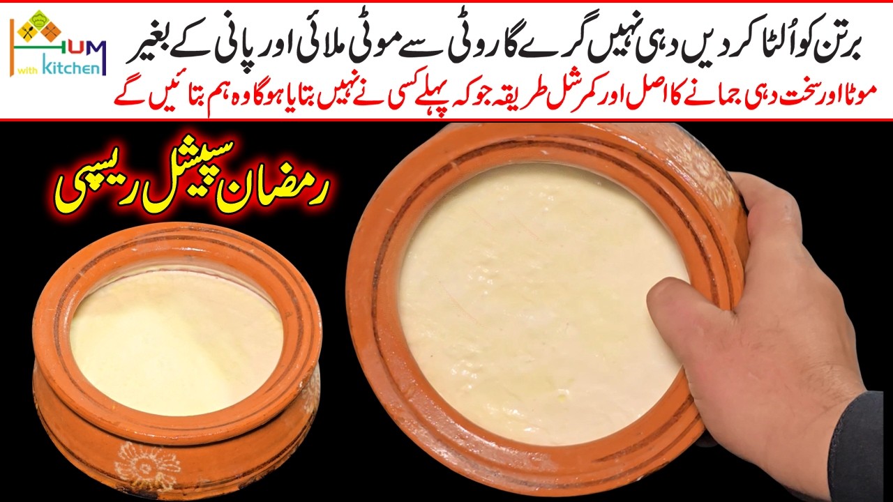 Commercial Dahi Jamane Ka Sahi Tarika | Bazar Jaisi Dahi Ghar Mein | Dahi Recipe by Hum with Kitchen