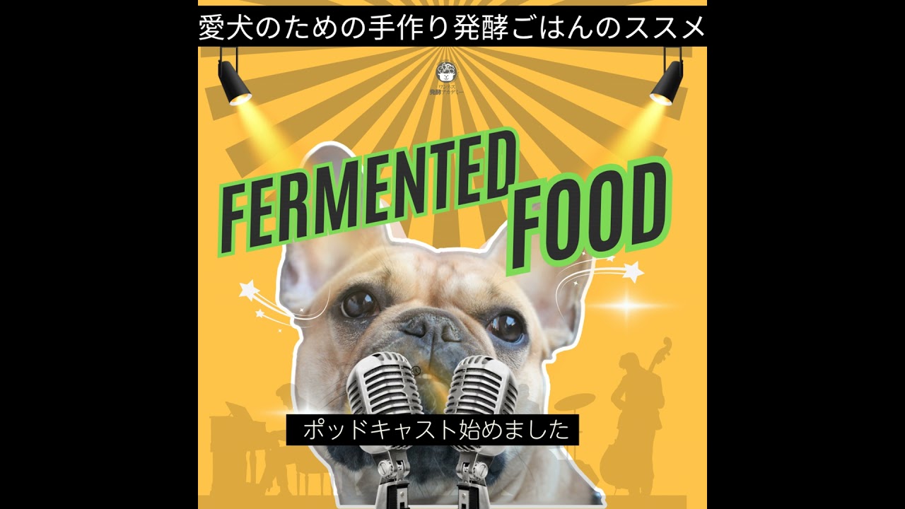 愛犬用手作りごはん栄養計算機を作り直しています｜ワンネス発酵アカデミー