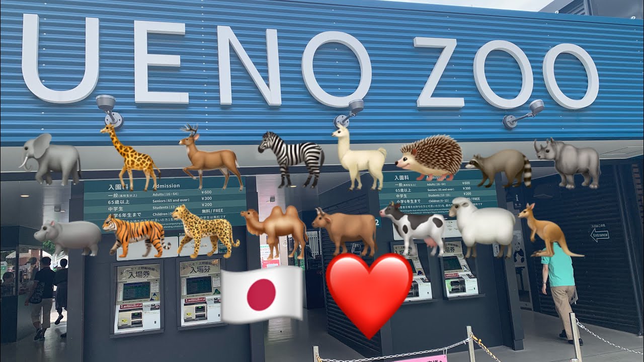 Japan VLOG 53 - Ueno zoo part 1