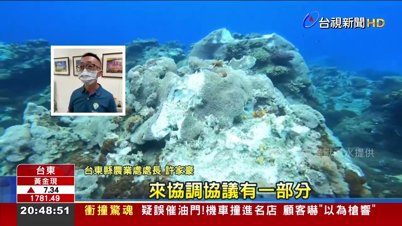 綠島珊瑚礁遭破壞 縣府要求廠商負擔復育費用