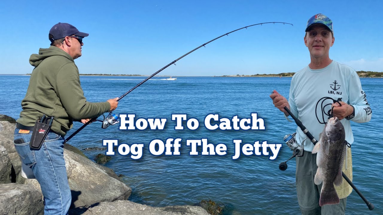 Как поймать TOG с причала #tautog #jettyfishing #blackfish