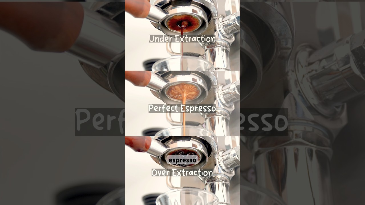 Espresso Extraction Explained: Under Extraction, Over Extraction and Perfect Espresso Extraction
