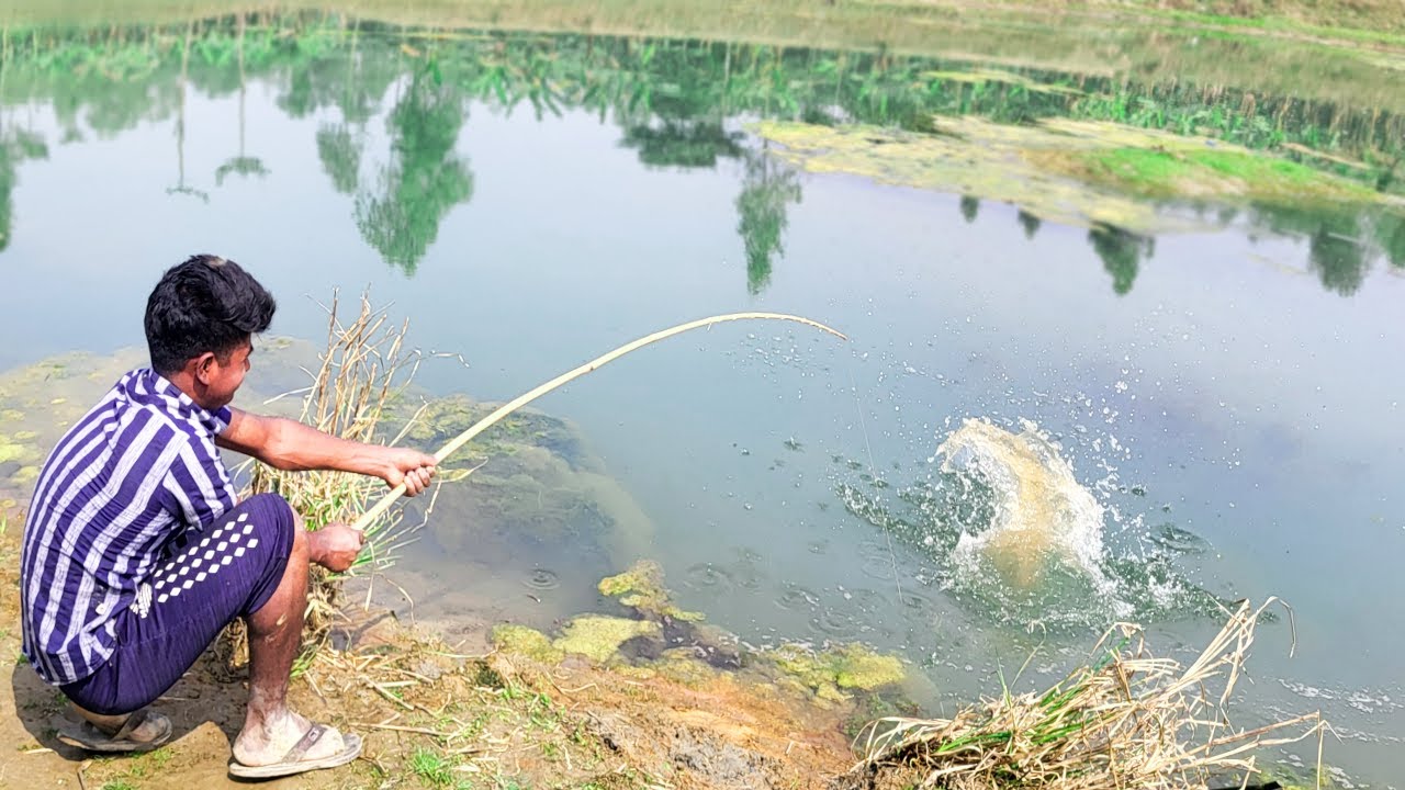 Fishing Video || If you learn fishing from village boy, you will be able to catch fish very easily