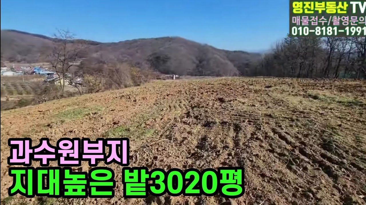 (452번)지대높은밭 3,020평 읍외곽 주택,농막짓고 과수원자리 보전관리지역 평당95,000원 #보은부동산 #옥천부동산
