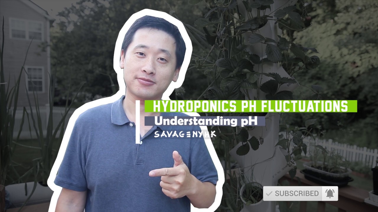 Understanding pH Fluctuations in Hydroponics Made Easy