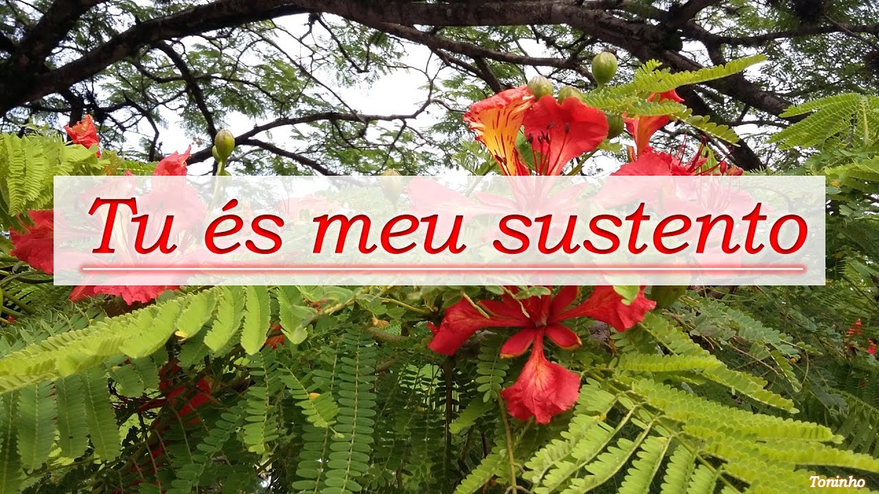 Tu és meu sustento