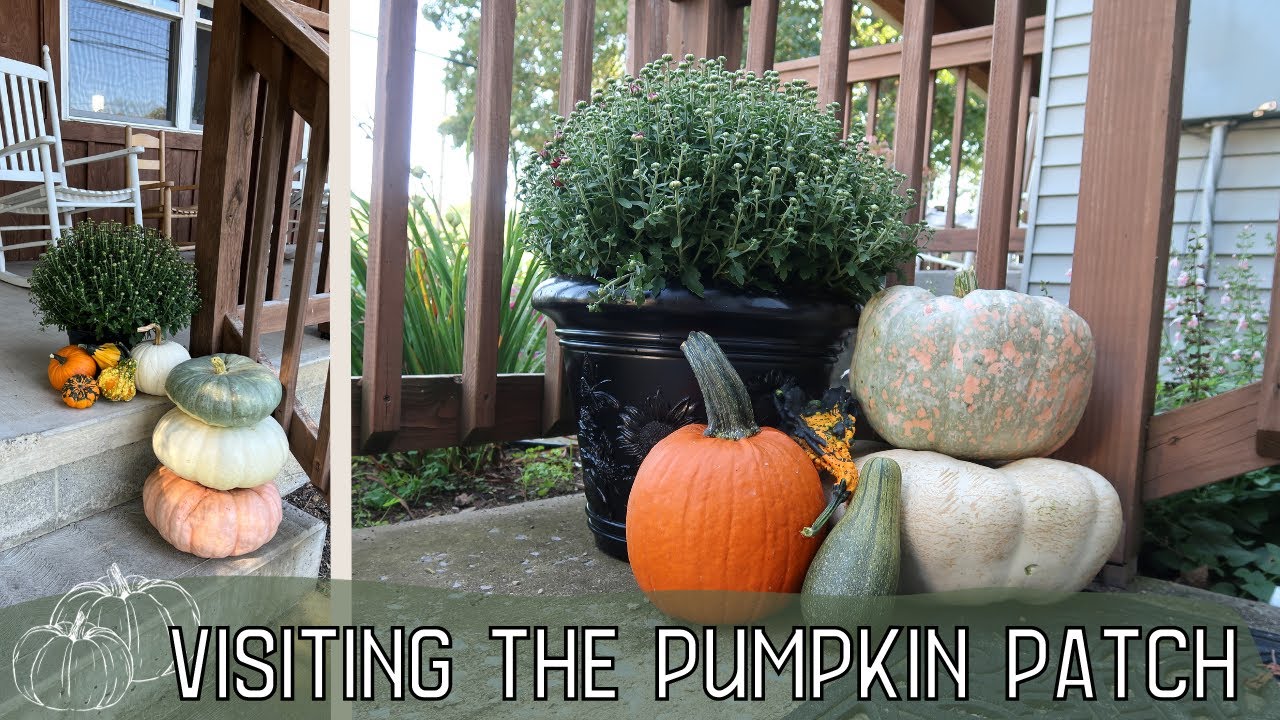Autumn DITL of a Mennonite Mom | Pumpkin Patch Vlog