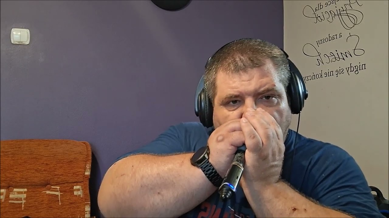 Country Roads - diatonic harmonica cover