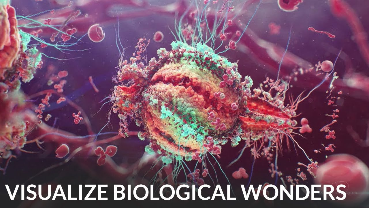 Scientific Animation for Biological Wonders with Newt Studios - 2019 ZBrush Summit