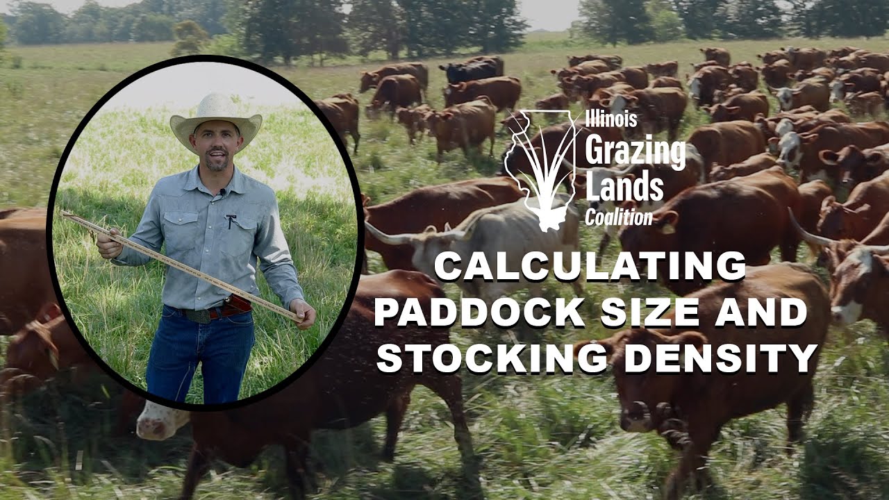 Calculating Paddock Size and Stocking Rate on Your Adaptive Grazing System