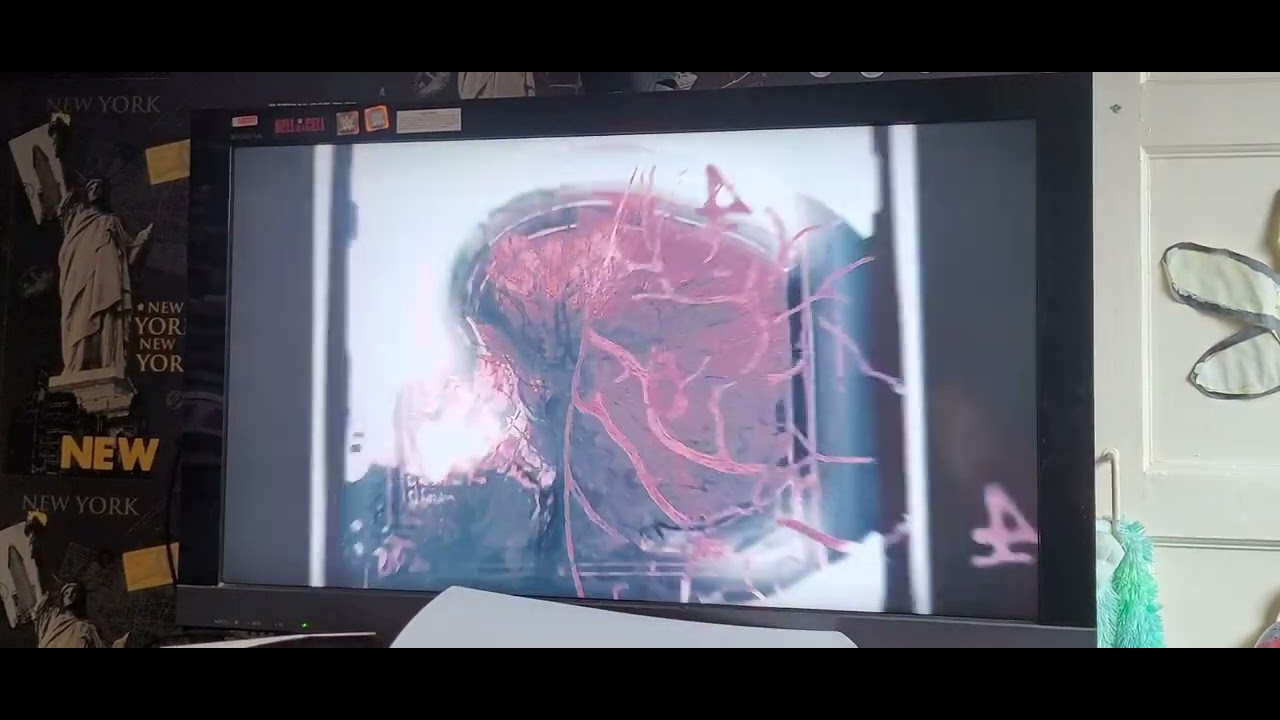 Bethesda (Glitchy!)/ID Software/Nerve Software (2019)