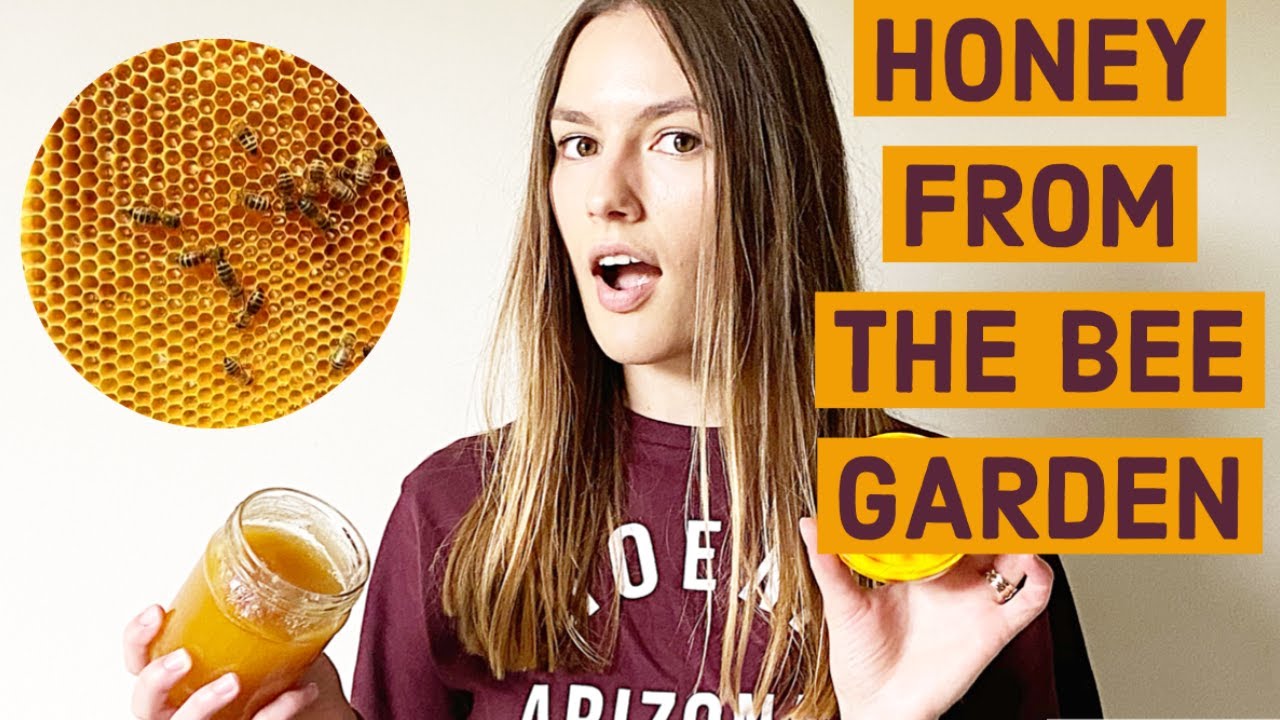 I used HONEY on my Face Everyday for ONE Week|Healing acne|Results