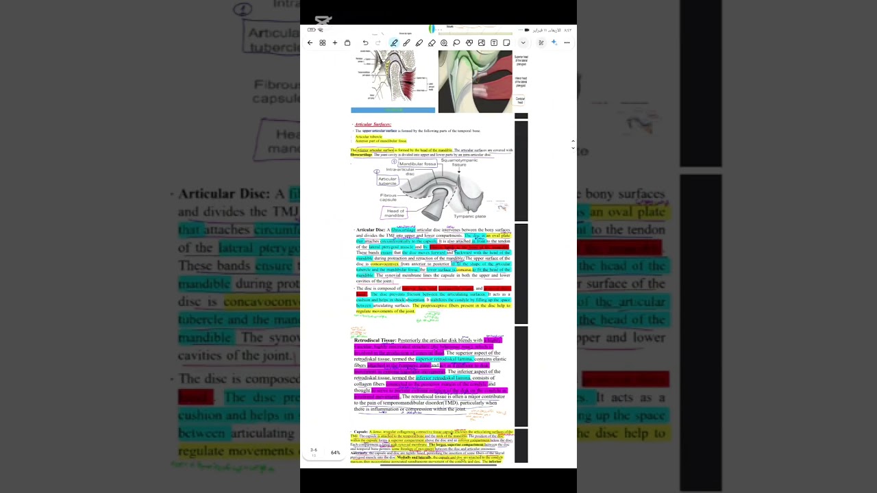 Anatomy lec13 طب الاسنان مرحله ثانيه 