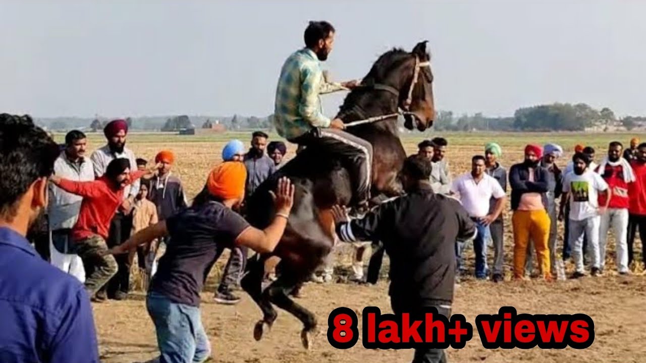 ( KHANT )HORSE RACE/2020