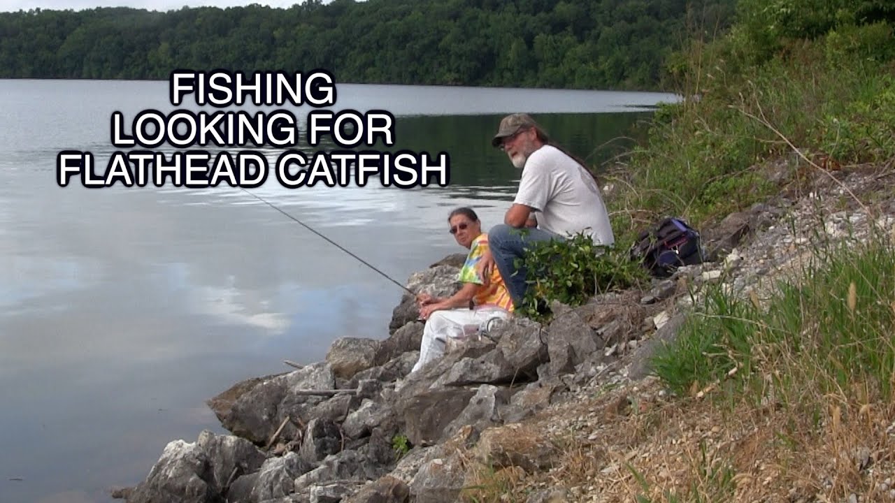 Bank Fishing Tennessee For Whatever
