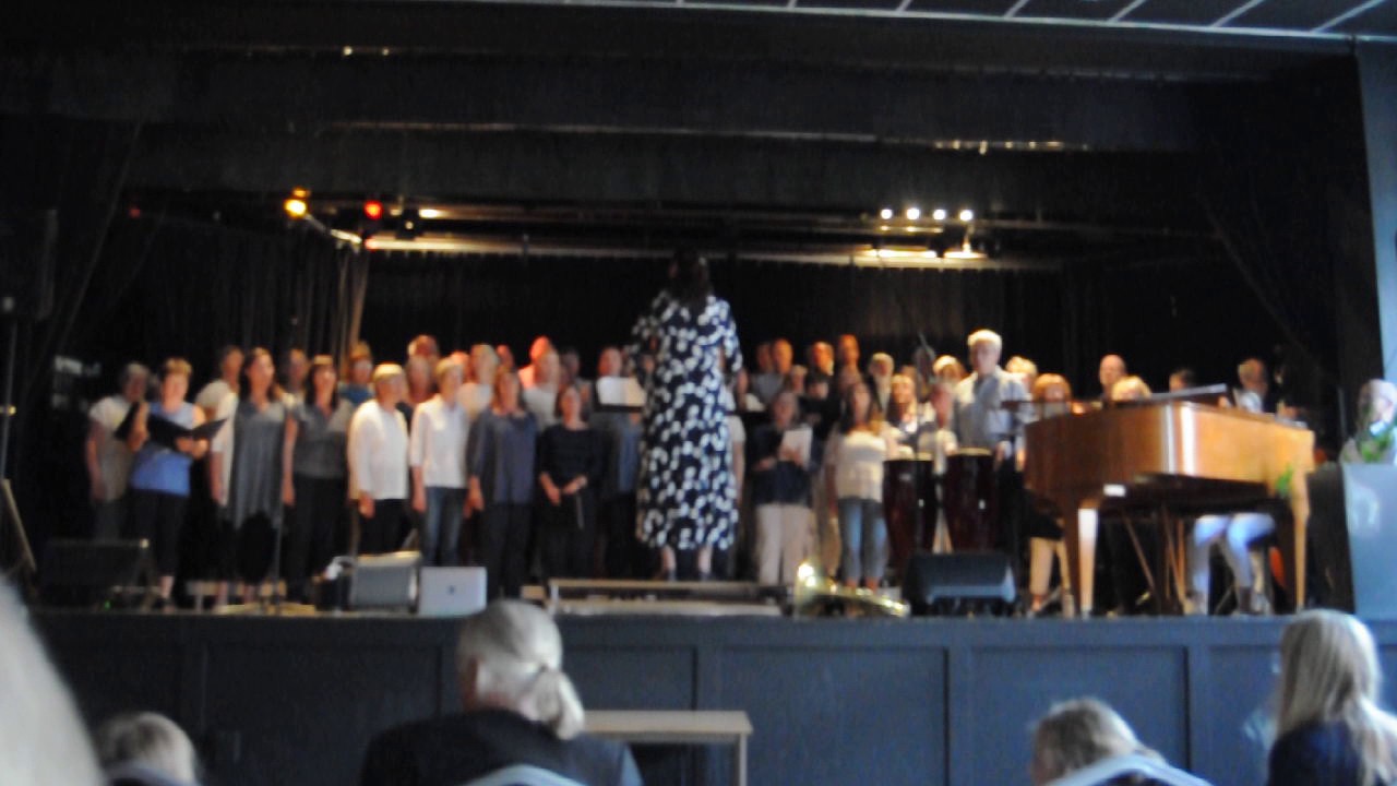 Tonprakt Odd Singers Fix you