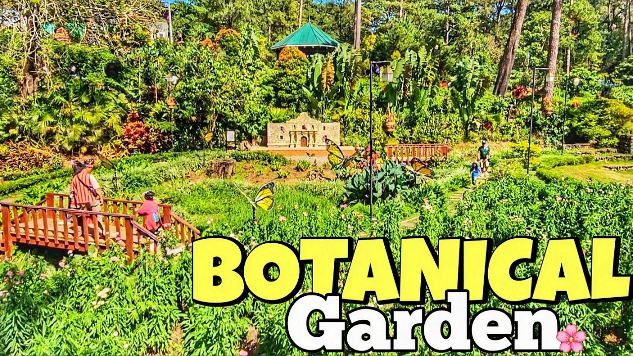 【4K】BAGUIO CITY | BOTANICAL GARDEN WALKING TOUR 