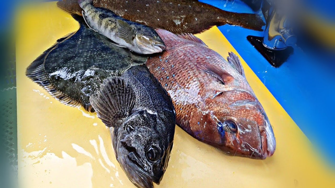ассорти сашими, 5 видов рыб