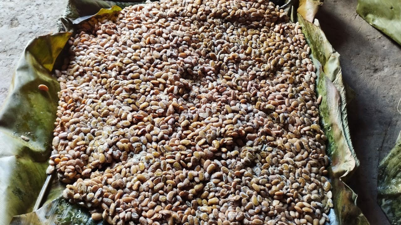 How to Make Axone at home #axone #nagaland #nagafood #axonerecipe