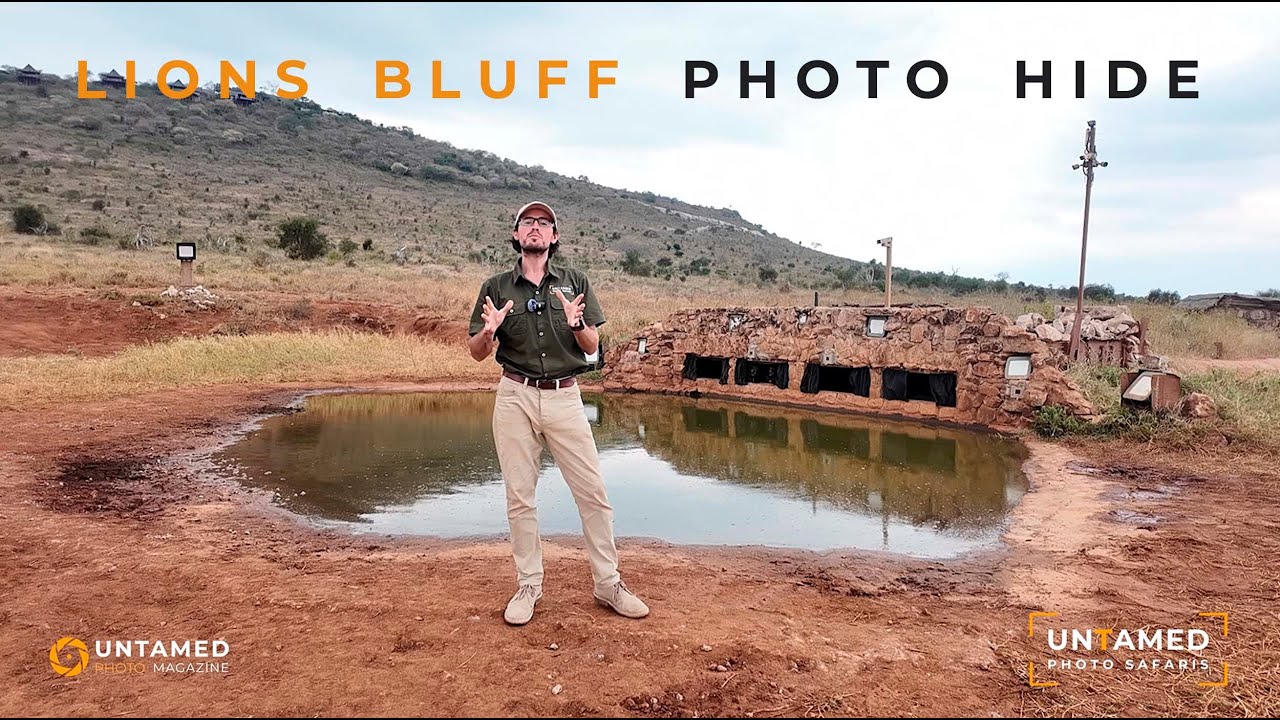Lions Bluff Photo Hide with Untamed Photo Safaris