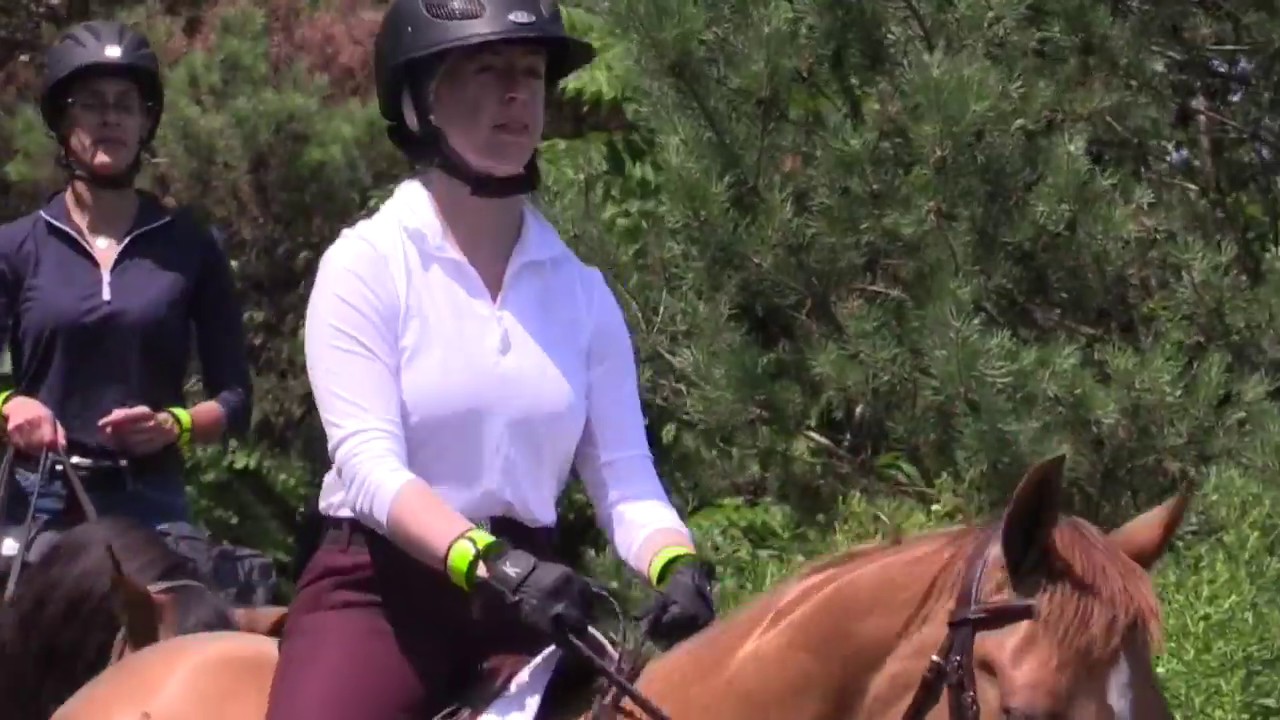Tips & Tricks for Trail Riding