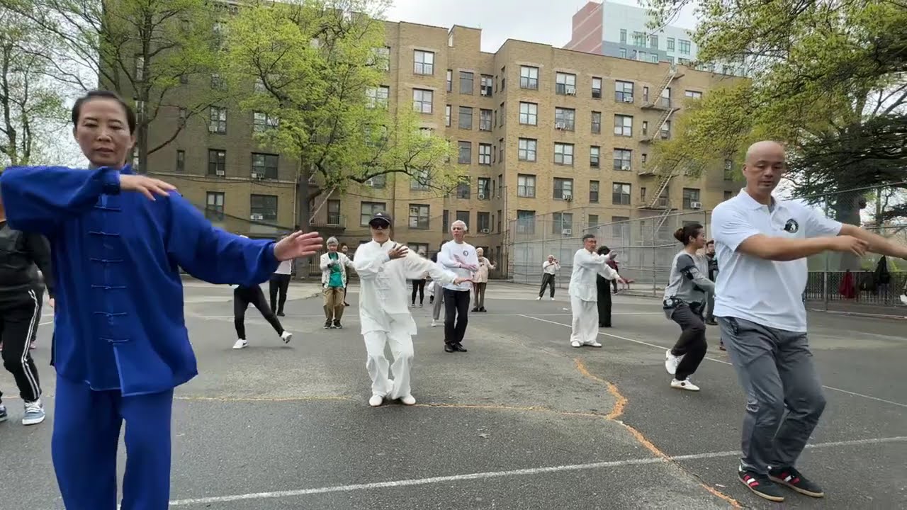 2025 World Tai Chi and Qi Gong Day - Chen Tai Chi Old Frame (陈氏太极拳老架一路)