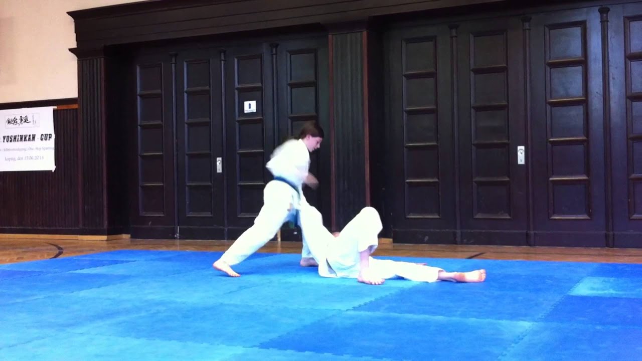 9.Yushinkan - Cup 2013 - Tongil Moo Do