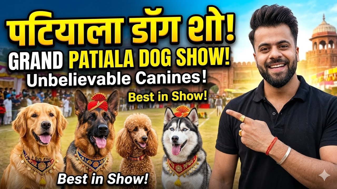 Dog Show In PATIALA | 2026