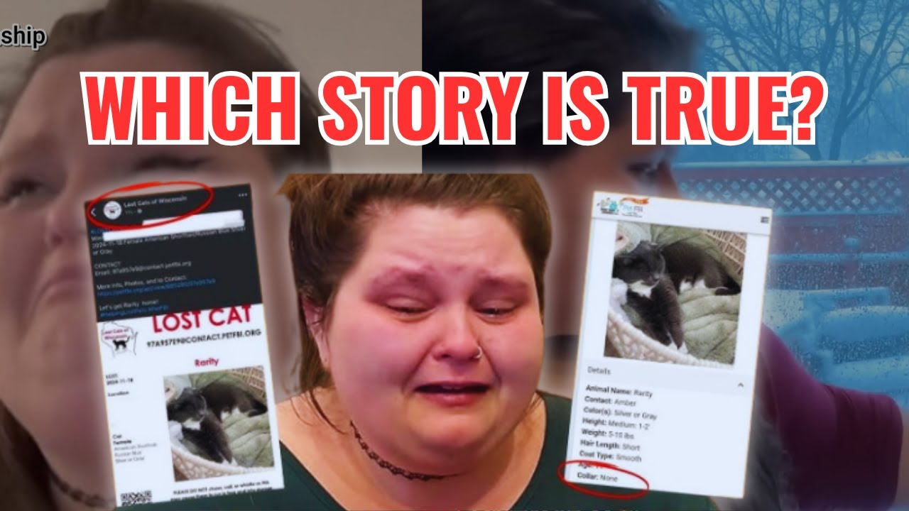 КАК ПРОПАЛА РЭРИТИ? СЛОВАМИ ЭМБЕРЛИНН РЕЙД #gorlworld #RARITYMISSING #amberlynnreid