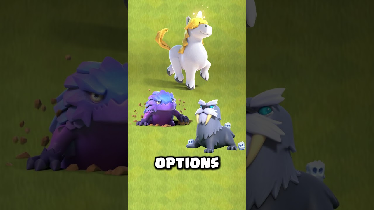 Best Hero Pet Combinations That Will DOMINATE in 2025!