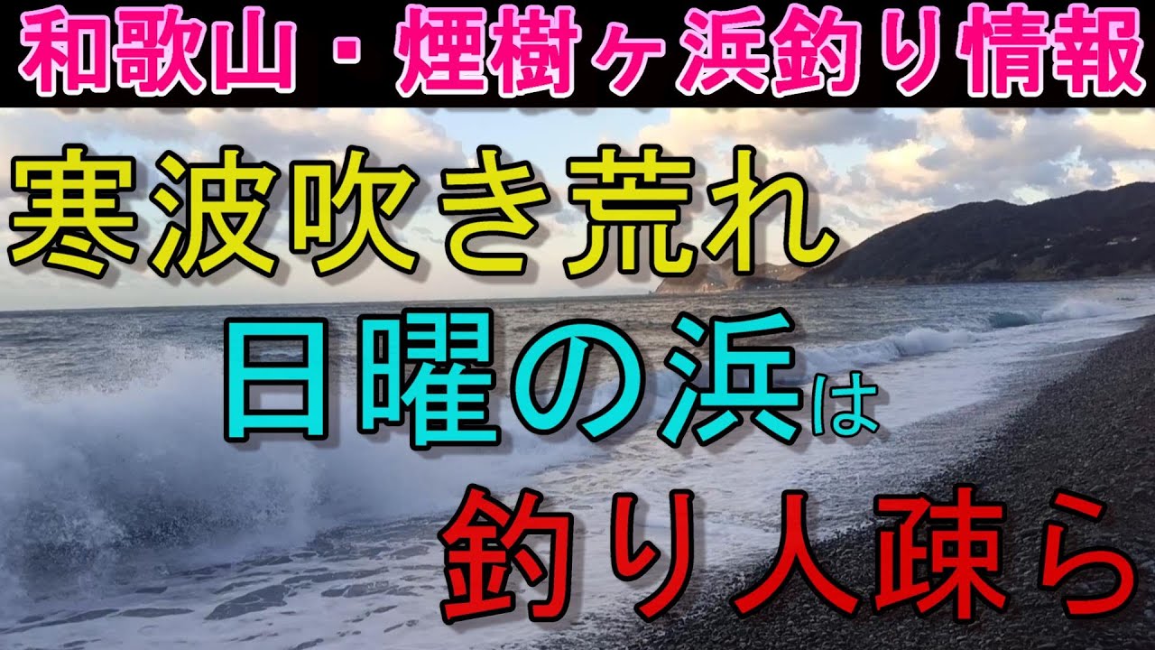 01-25　煙樹ヶ浜釣り情報・取材編【第1501回】日曜の浜は寒風が吹き荒れ,釣り人は疎ら。 ＃遠投カゴ釣り #和歌山・釣り #煙樹ヶ浜