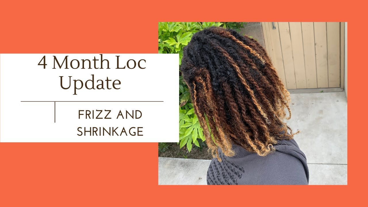 4 Month Loc Update   Shrinkage and Frizz