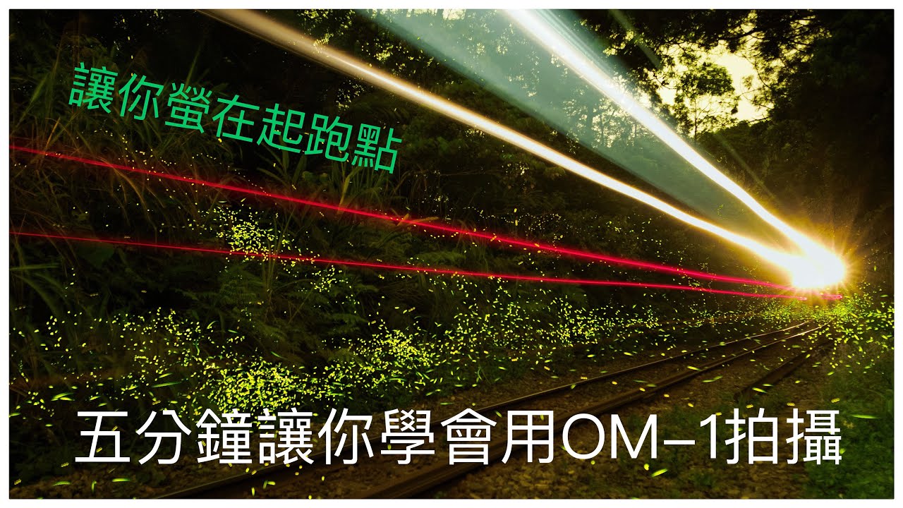 OM-SYSTEM OM-1 實戰拍攝 螢火蟲