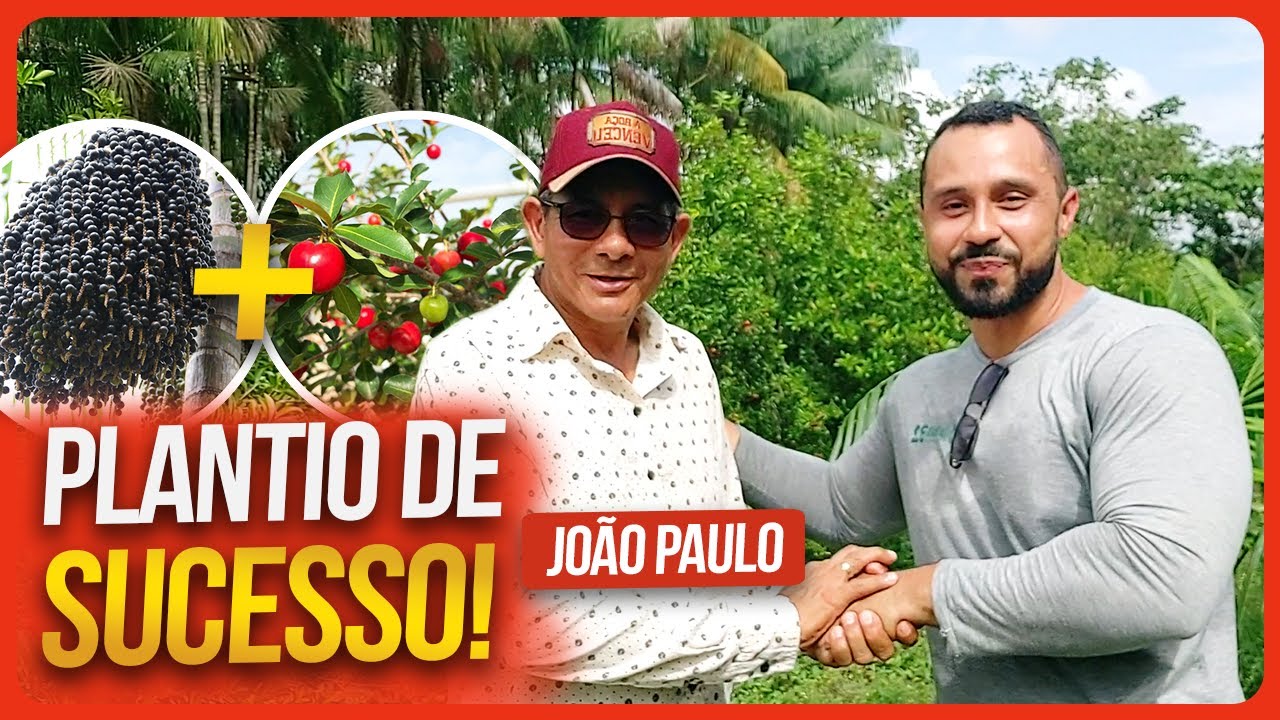 Consórcio de Acerola e Açaí em Terra Alta no Pará | Conversa no campo #2