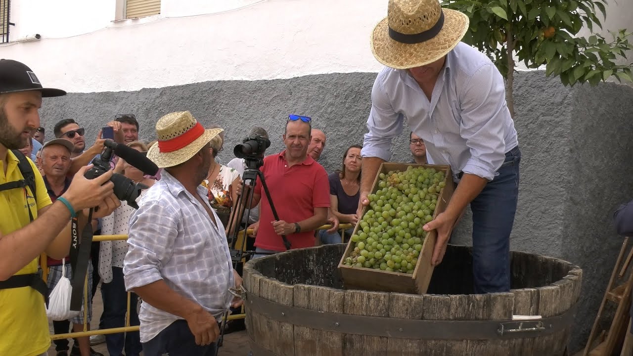 XXIV Día de la Pasa En El Borge 2019, Málaga 4K