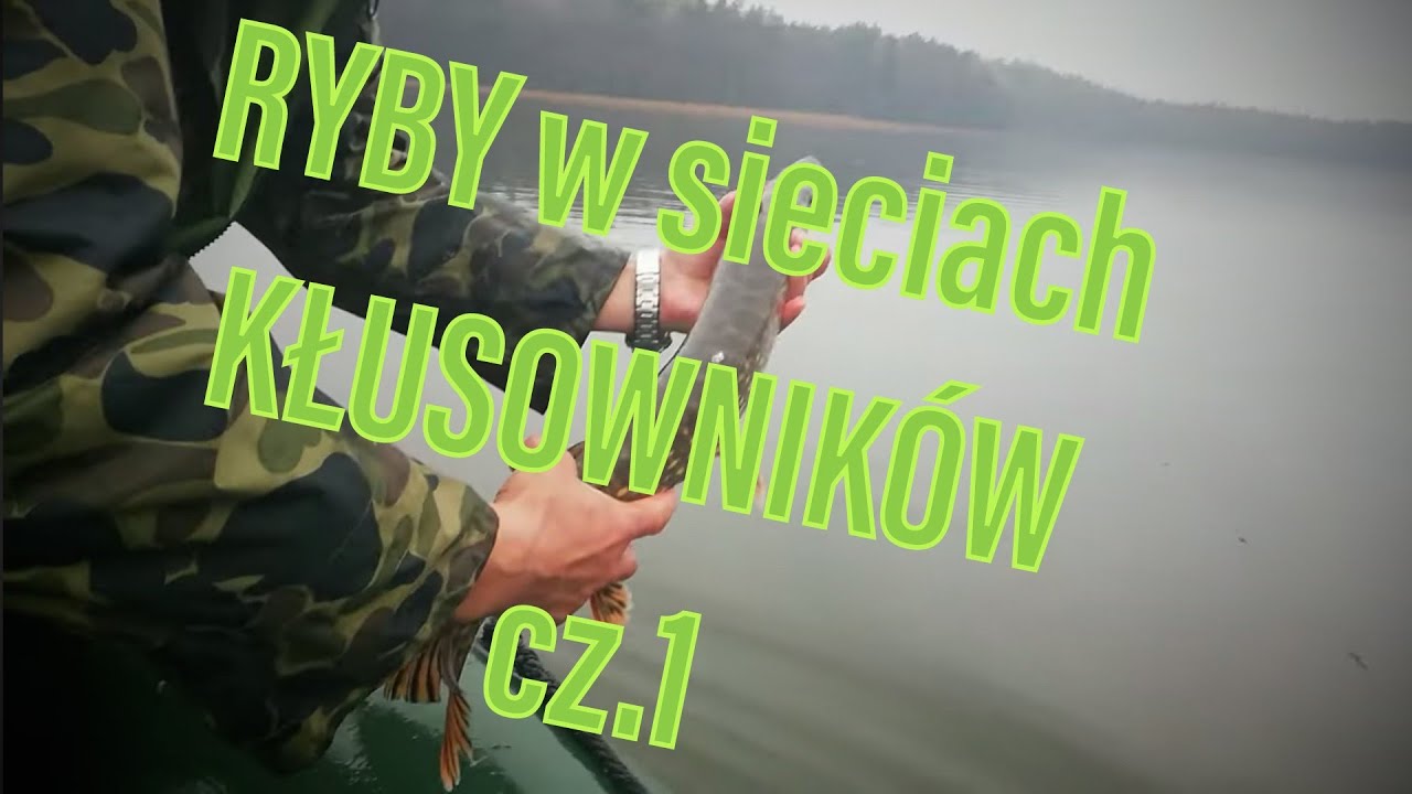 Ryby w SIECIACH kłusowników. Kompilacja cz.1