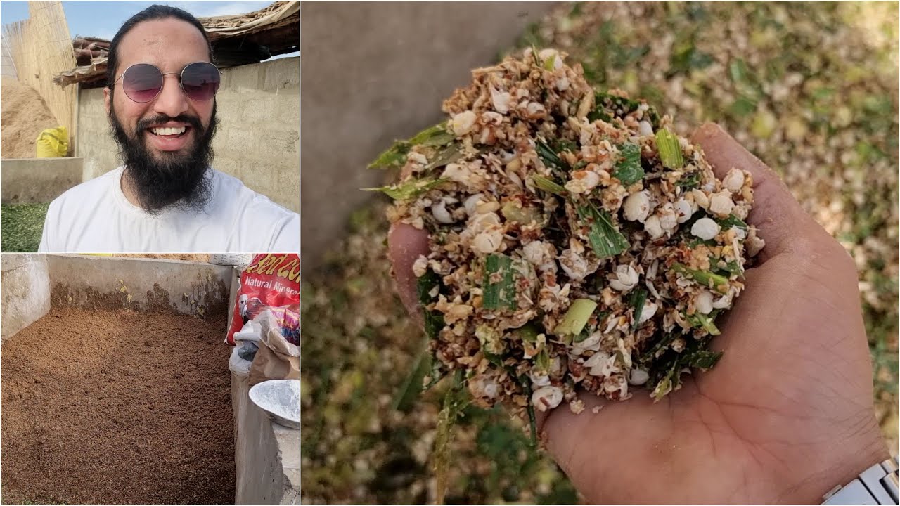 Pure Organic Wanda (Meal) Recipe For 50 Bulls 🦬 In Detail | AR Maani