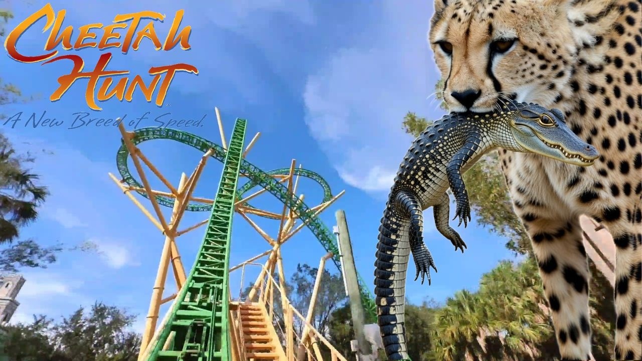 Cheetah Hunt Busch Gardens Tampa - Triple Launch Coaster Full Ride Front Row and Back Row