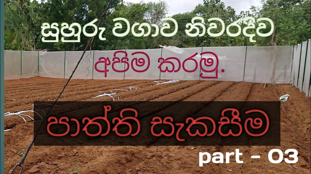 Making beds regularly|සුහුරු වගාවෙි පාත්ති සැකසීම