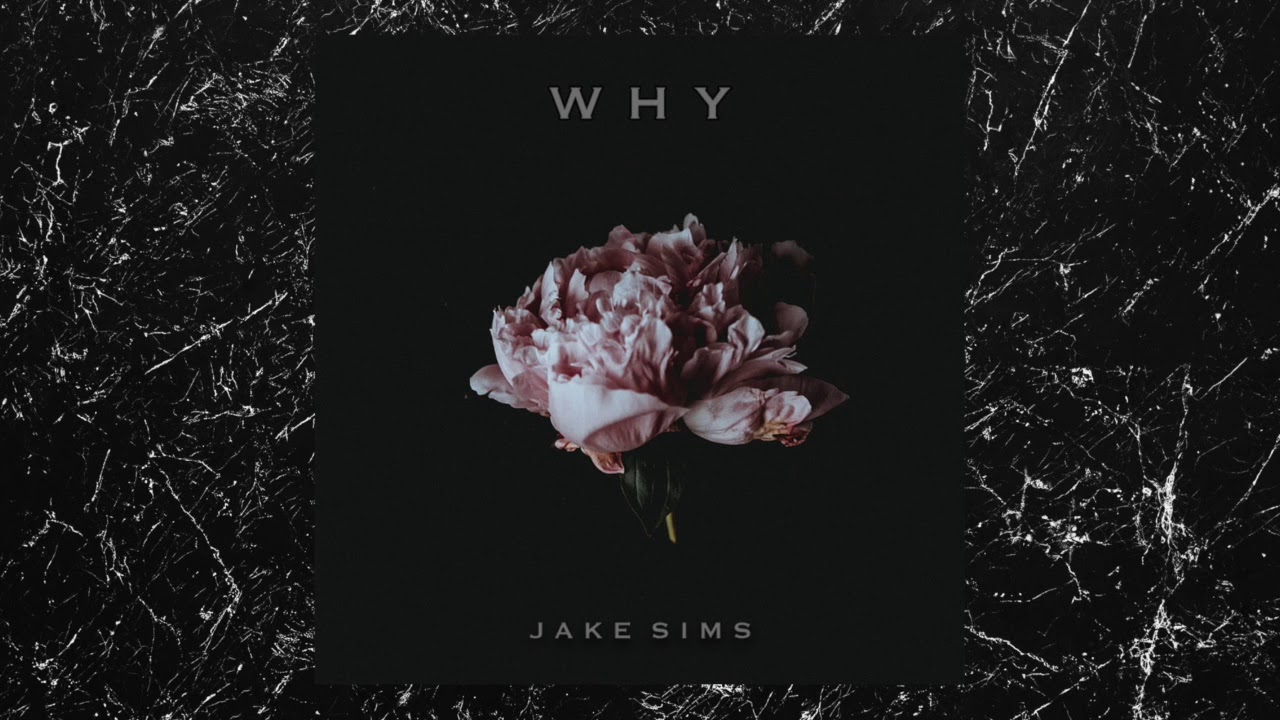 JAKE SIMS // WHY (Shawn Mendes cover)