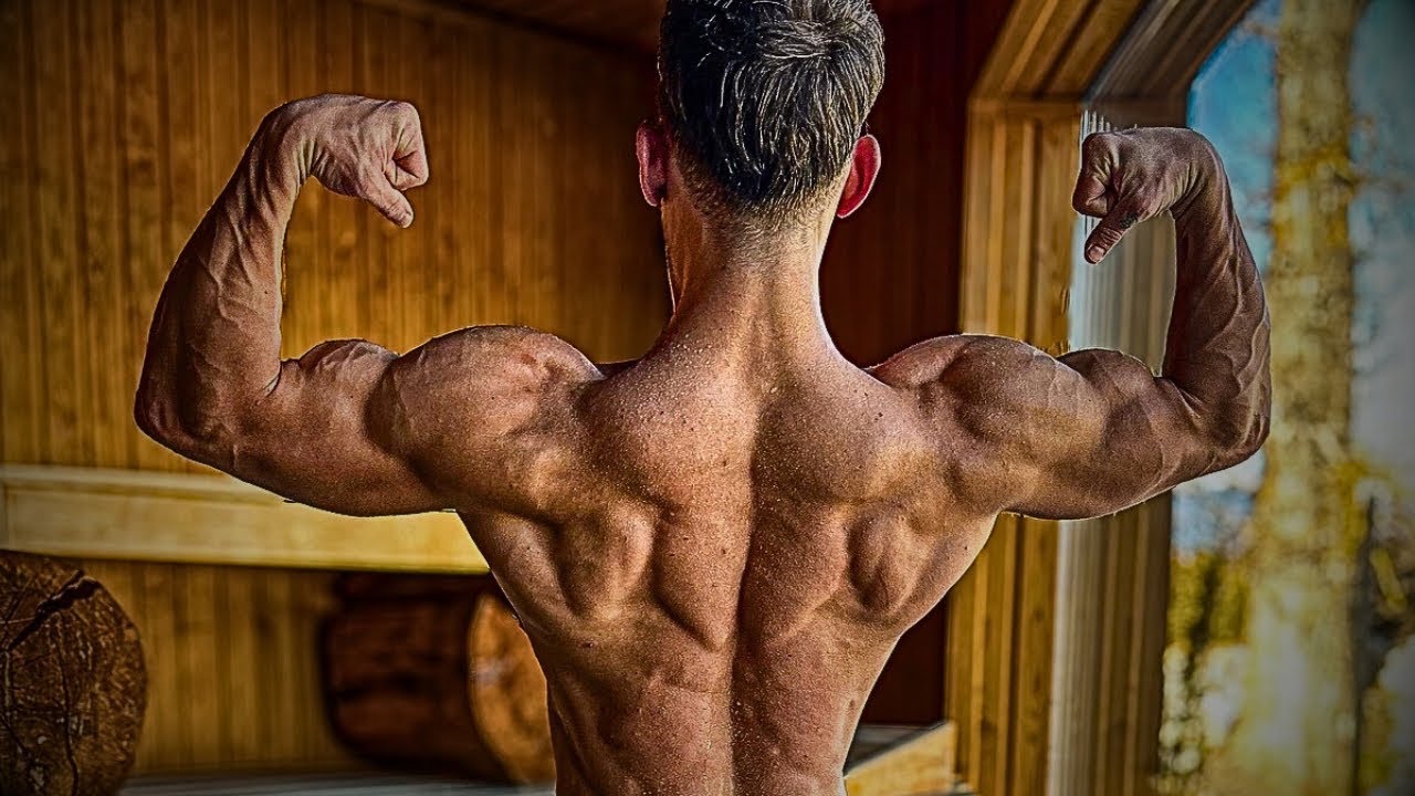PULL DAY (calisthenics)