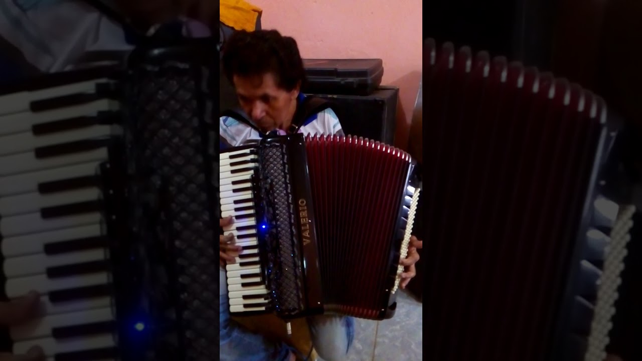 Acordeon sanfona gaita a VENDIDA