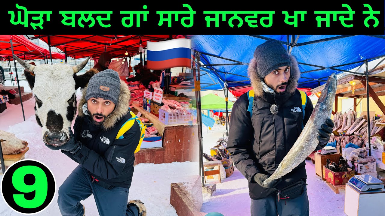 inside Frozen Animal Market🇷🇺 ਘੋੜੇ ਗਾਂ ਬਲਦ ਸਭ ਖਾਂ ਜਾਦੇ ਆ