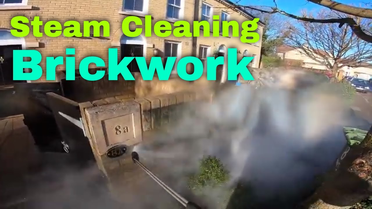 Steam Cleaning Organic Growth From Brickwork