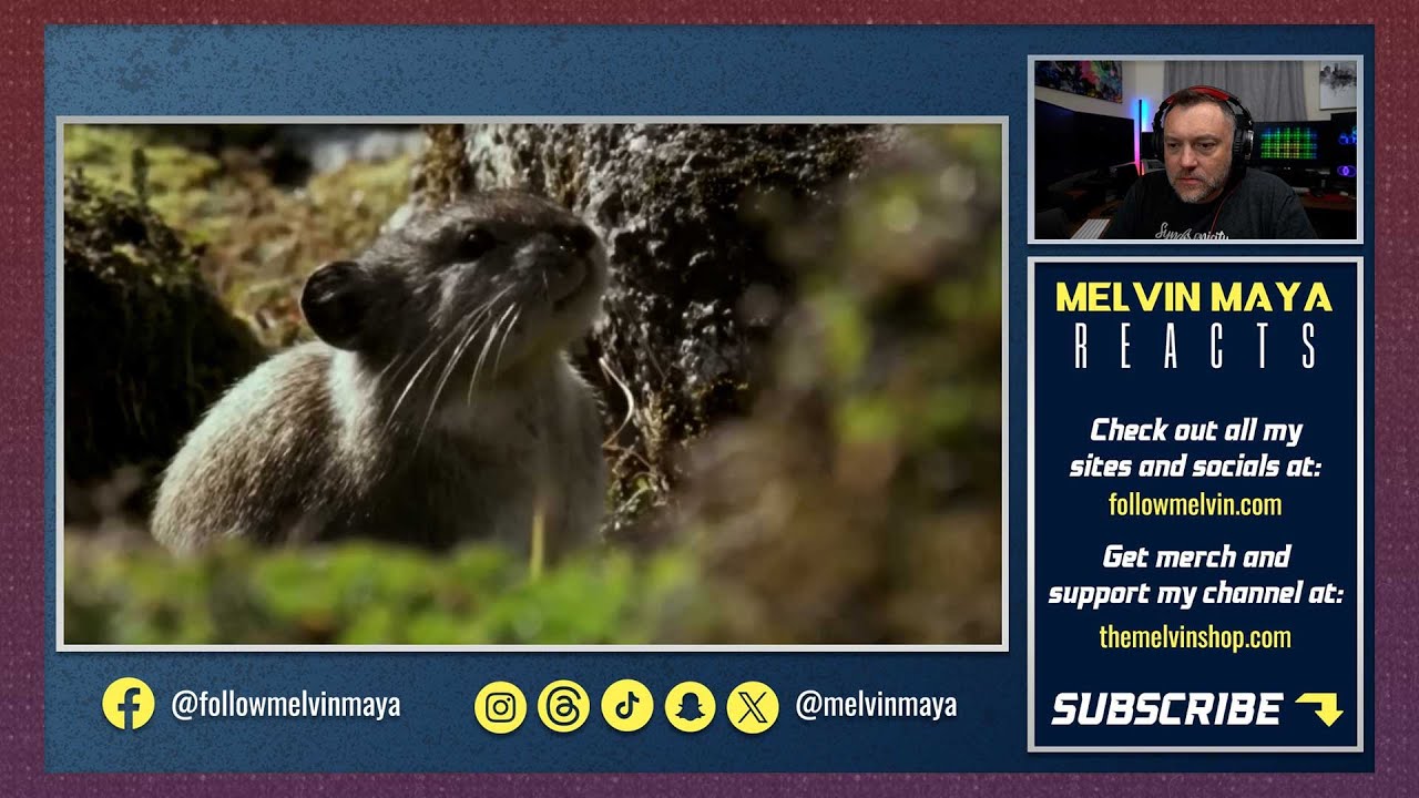 American Reacts To 10 WEIRD animals ONLY found in Canada | V907